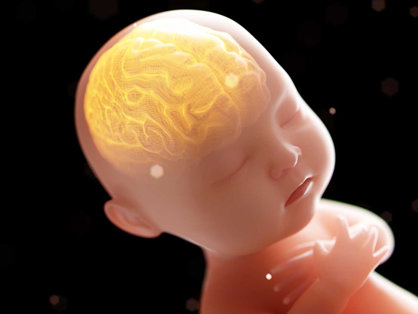 Living Creatures Were Clearly Designed | The Institute for Creation